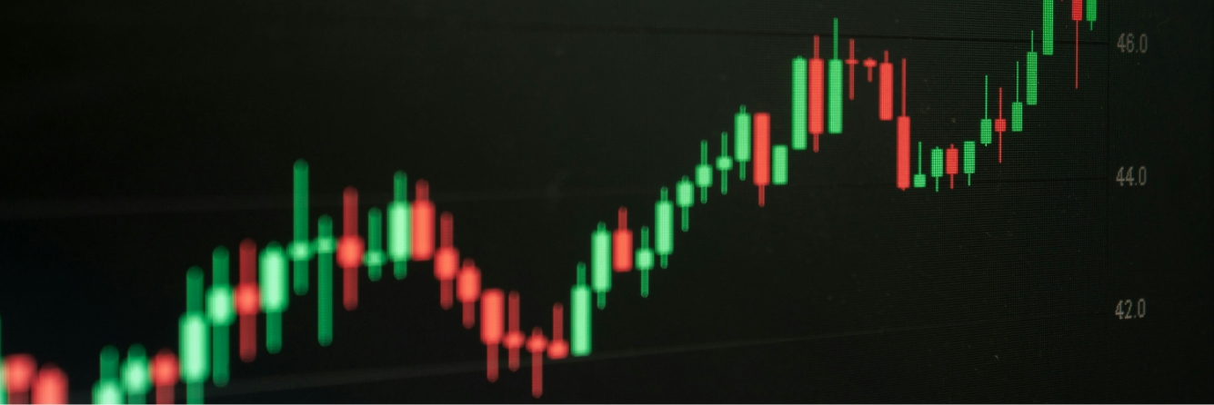 実践的な投資体験